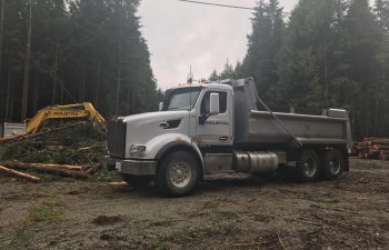 Industra - Anacla Community Wastewater Treatment System - Clearing work