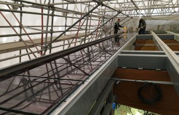 Peace Arch Border Rehabilitation