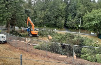 Industra - Chilliwack Non-Linear Utilities D-B - 2